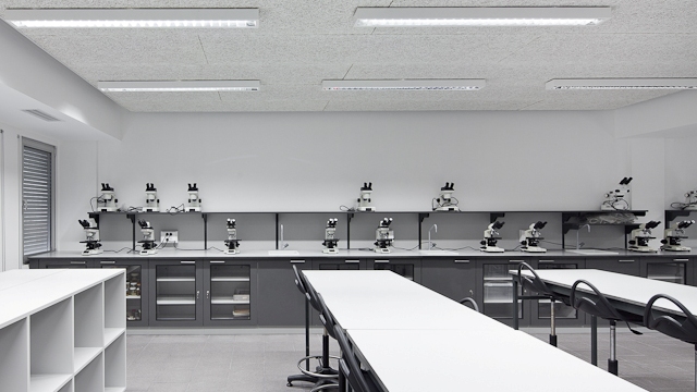 Imagem da galeria para Escola Secundária Professor Reynaldo dos Santos